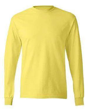 Hanes Men's Tagless® Long Sleeve T-Shirt - 5586