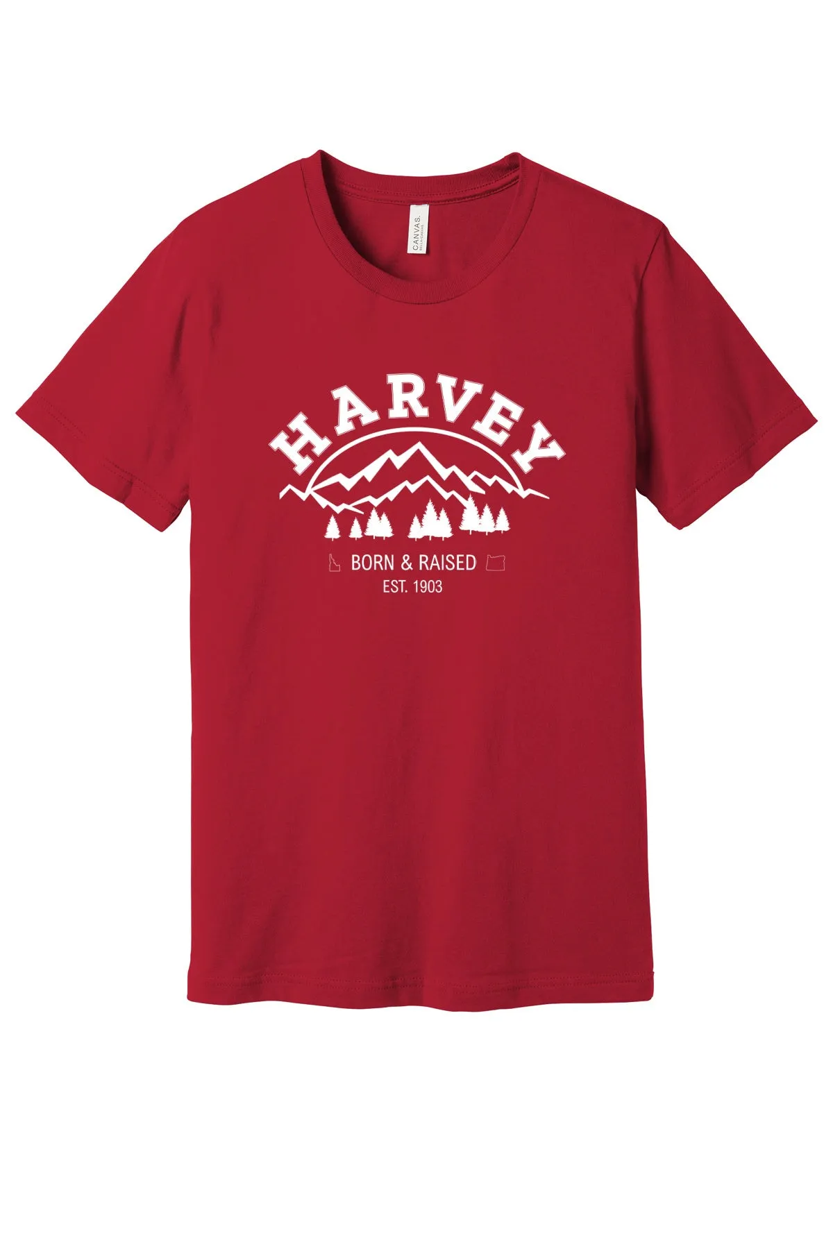 Harvey Family Reunion
