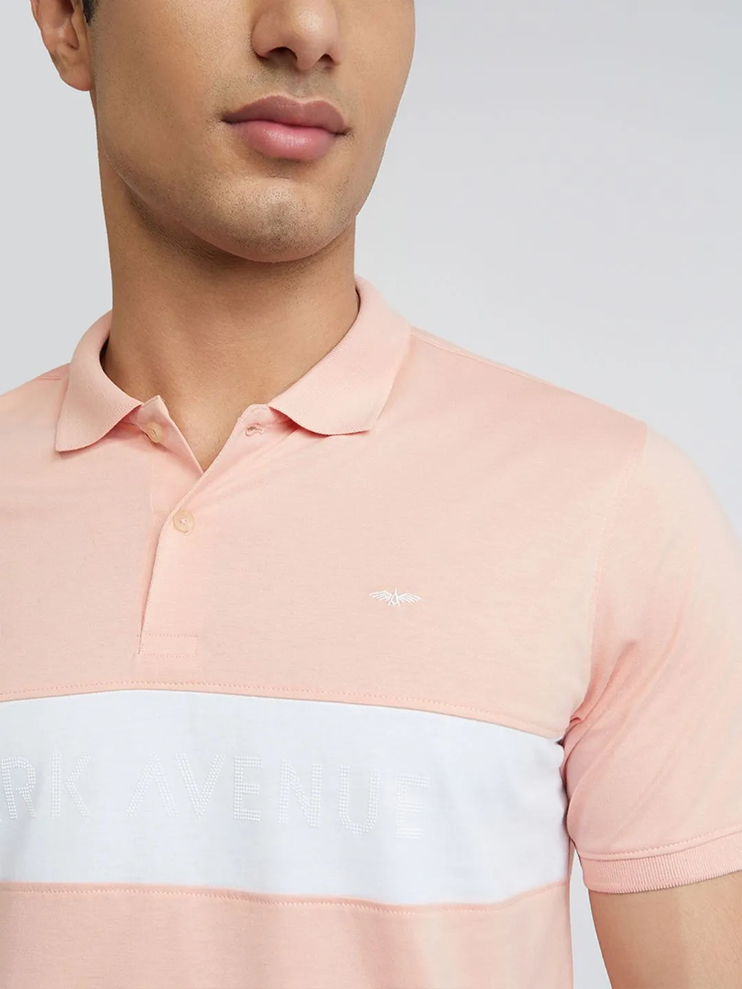 Park Avenue Striped Slim Fit Polo Collar T-shirt