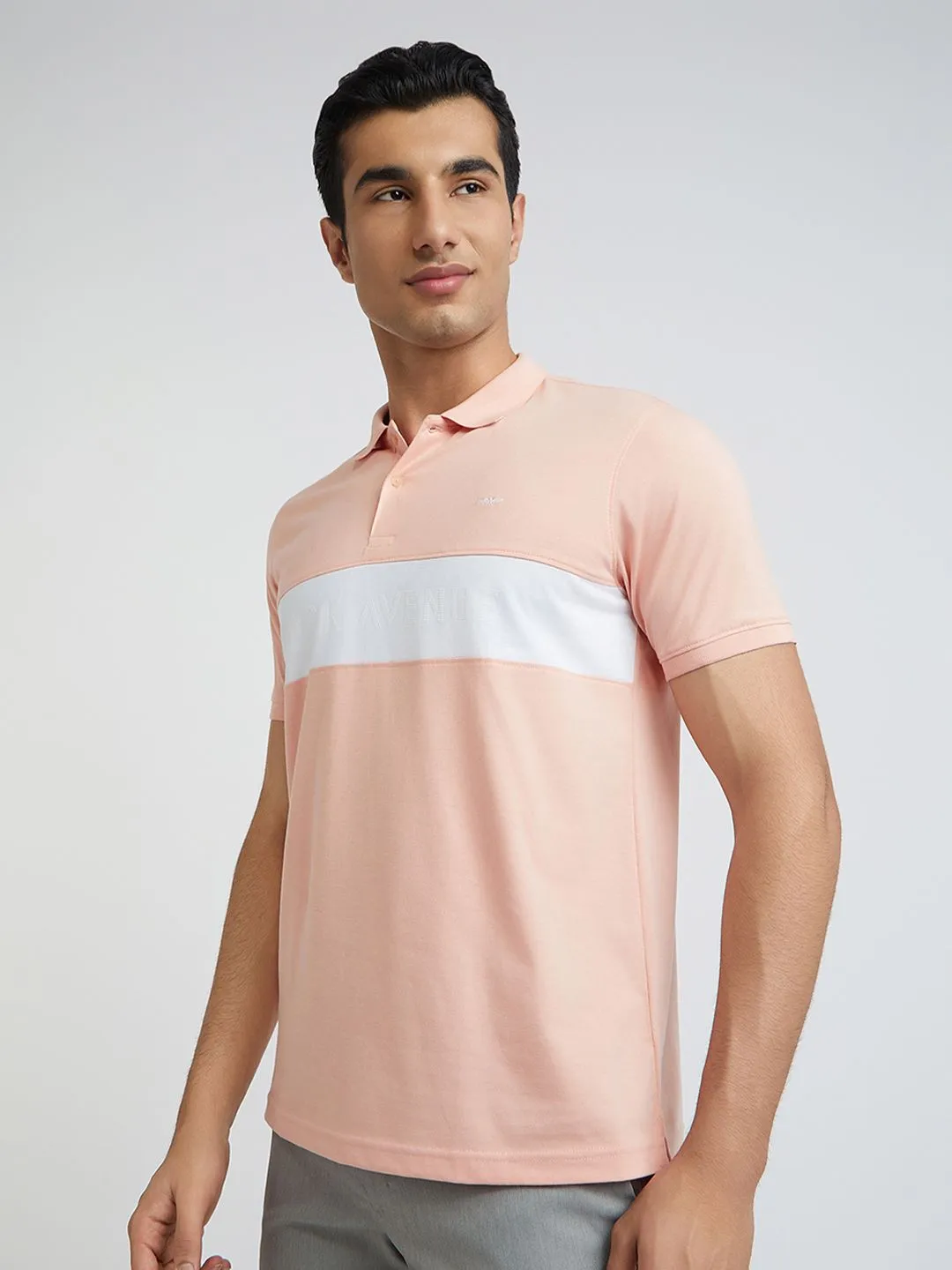 Park Avenue Striped Slim Fit Polo Collar T-shirt