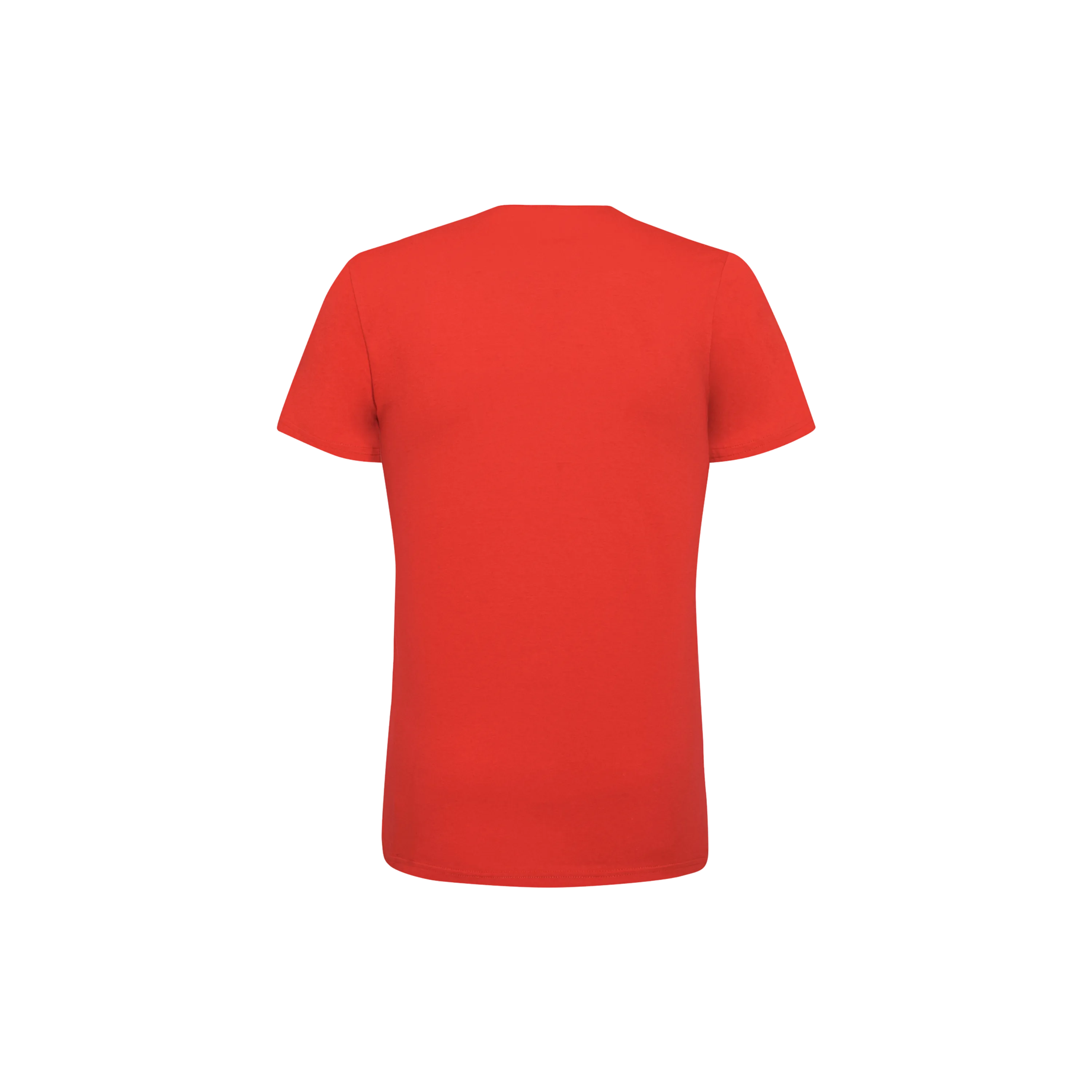 Swiss Cotton, T-Shirt Men