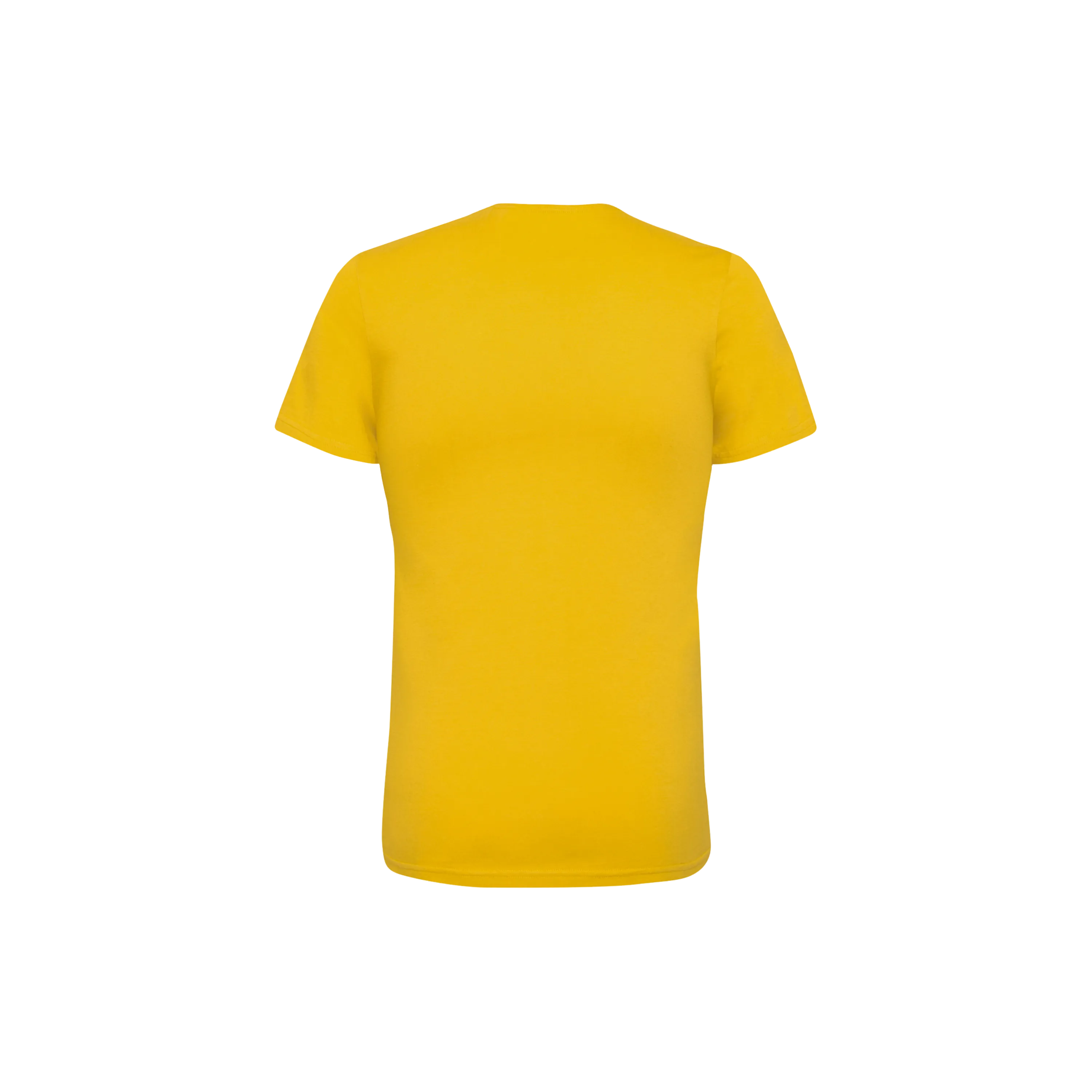 Swiss Cotton, T-Shirt Men